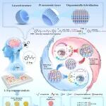 杭师大黄又举/丁彩萍团队 ACS Nano：铂基超晶格生物探针赋予生物传感器“阈值特异性”实现结核性脑膜炎准确评估