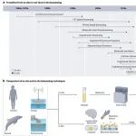 研究进展：海南大学，原位生物传感 | Nature Sensors