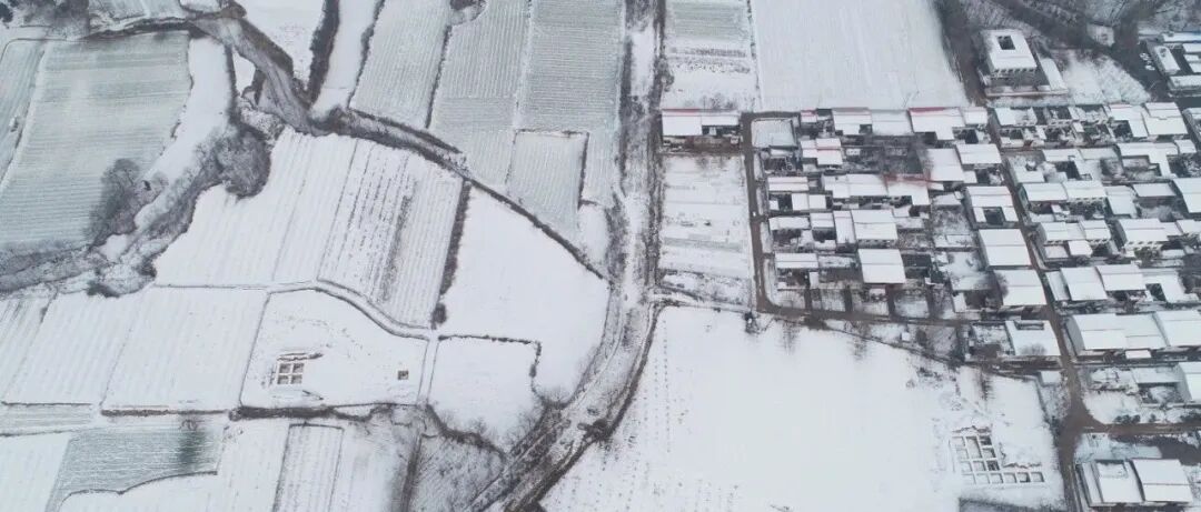权威解读 | 张弛：河南新郑市裴李岗石器时代遗址