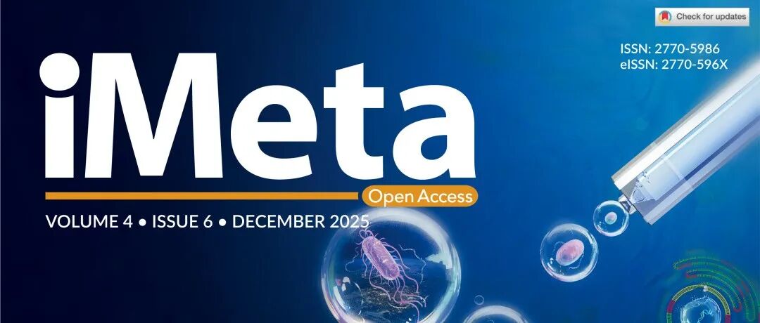 iMeta 4卷6期封面：单实体测序微流控平台