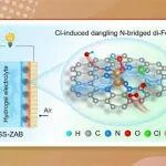 南方科技大学徐强团队JACS：氯诱导的悬垂氮桥双原子铁催化剂助力高效氧还原！