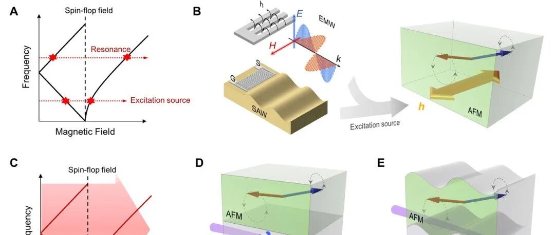 清华大学宋成团队：二维反铁磁材料CrSBr | Advanced Materials