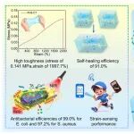 青科大高传慧教授/张娜副教授 JCIS：基于“纳米桥”策略的高韧性自修复光热抗菌水凝胶