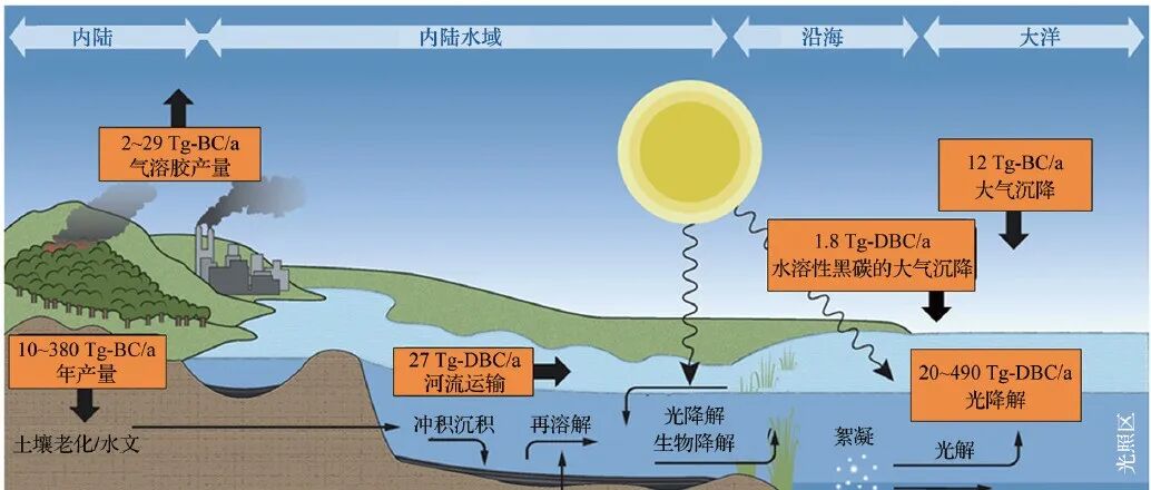 【青年学者说】溶解性黑碳研究新进展：解锁其结构、环境行为与生态效应的奥秘