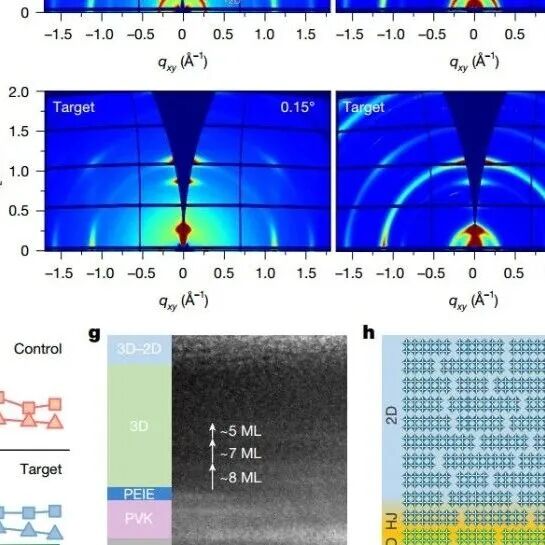 吉林大学最新Nature