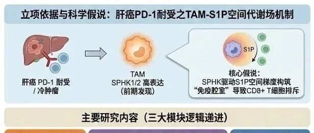 青年C_SPHK1-2_TAM_S1P_PD-1耐受_红字嵌入式修订_v2_再生成_20260212_083516