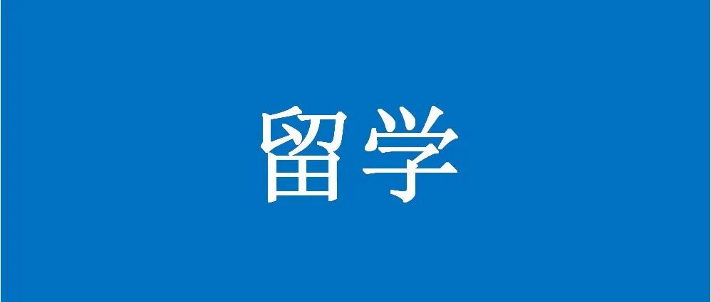 荷兰奈梅亨大学赵文博与Galimberti课题组招收理论计算CSC博士 2000 欧元/月+房补