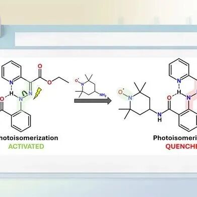 新型氮氧自由基取代腙开关：光异构行为实验与理论研究