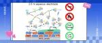 【ACS Energy Lett.】突破浓度限制，西湖大学王建辉/刘仕团队最新成果：2.6 m低浓度电解液赋能高能量密度水系锂离子软包电池