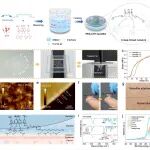 陕师大房喻教授团队 AFM：用于电生理和运动监测的柔性透气纳米薄膜表皮干电极