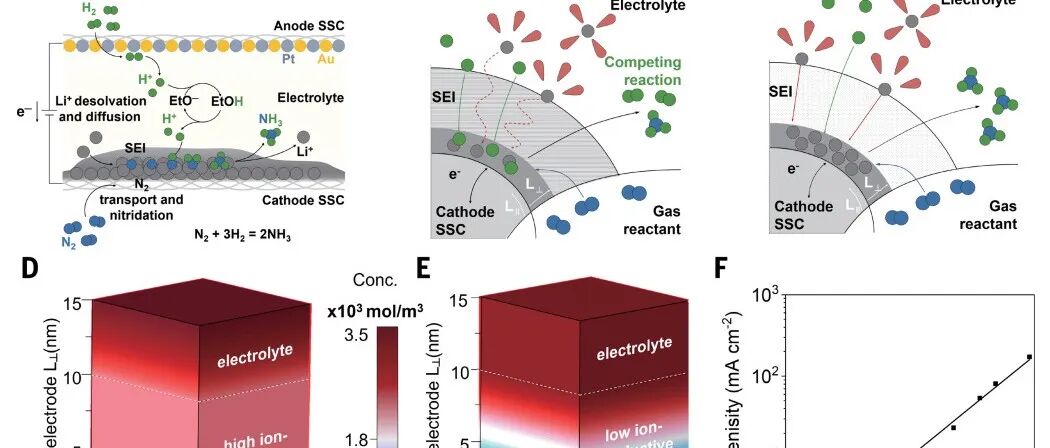 研究透视：上海交通大学/苏州大学，锂介导氮还原合成氨 | Science