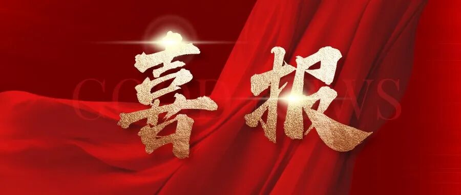 2025年度RAA优秀论文奖项发布!