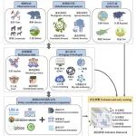 生物多样性｜基于《昆蒙框架》的生物多样性早期预警机制探索
