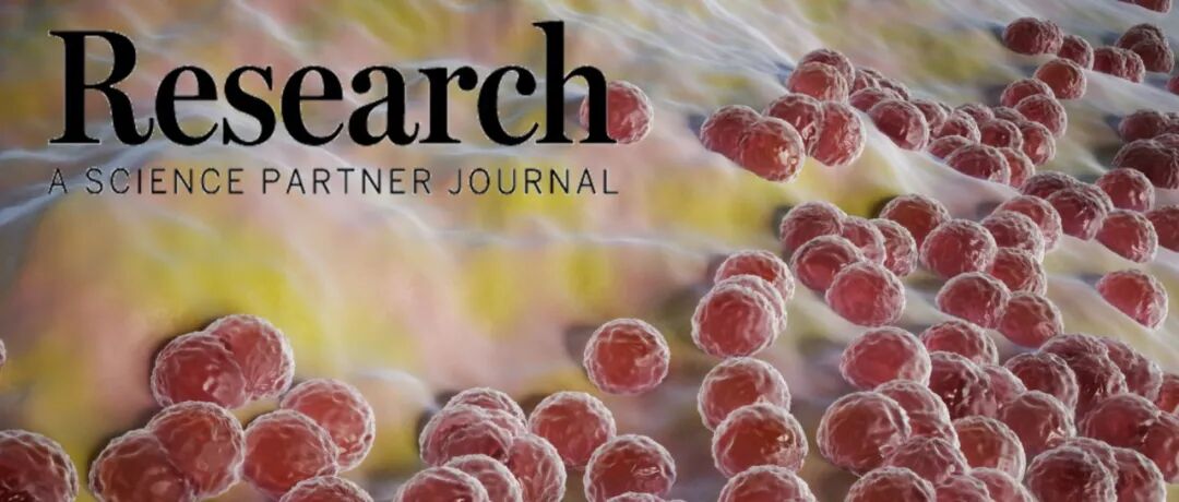Research|气流剪切法精准封装单细菌微凝胶：开辟益生菌递送新纪元，助力炎症性肠病治疗