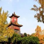 四川大学通报：对王竹卿调查处理情况 - 降级、取消资格