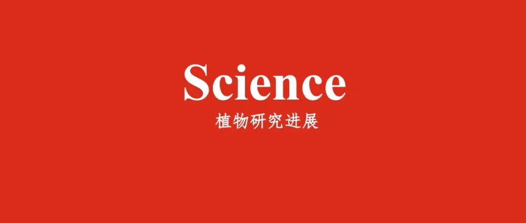 河北农业大学发表《Science》