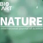 Nature |u00A0病毒破坏免疫交通网络的新策略