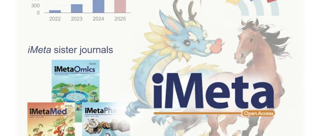 iMeta 2026新年贺词—龙马精神：感恩与前行 (年度进展与展望)