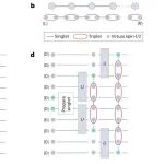 研究进展：量子芯片-拓扑序 | Nature Reviews Physics