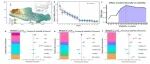 【Nature Plants】张睿洋、牛书丽等发文揭示植物多样性与生产力稳定性关系的时间尺度依赖性
