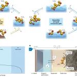 研究进展：李玮瑒，锂硫电池 | Nature Reviews Clean Technology