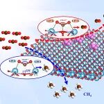 【ACS Catal.】福州大学苏文悦：调控LaTiOu2082N表面氧空位以优化COu2082吸附提高CO选择性