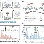 北大裴坚团队、张文彬团队《Adv. Mater.》：调控溶液态聚集实现共轭高分子的剪切诱导取向与高迁移率电荷传输