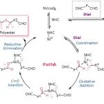 北京大学唐小燕课题组 JACS：发展芳香二醛配位歧化聚合新策略 - 构筑高性能芳香族聚酯