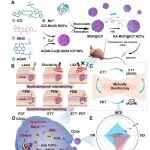 西安交大吴道澄教授团队 Small：无限配位聚合物 @MOFs 纳米复合物介导同步电热 - 光动力相互增强实现高性价比肿瘤治疗