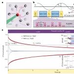 研究前沿：预热离散时间晶体-量子传感 | Nature Physics