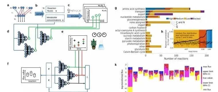 PBJ | NeuralFlux：深度学习赋能基因组尺度代谢通量分析，推动植物代谢工程新突破