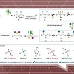 【Angew】上海交通大学申涛课题组：电氧化诱导芳基自由基阳离子的C-C键断裂实现级联苄位多官能化