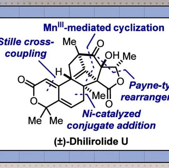 【JACS】JACS现任主编Carreira首次报道(±)-Dhilirolide U的全合成