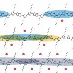 研究前沿：导电聚合物-电荷输运 | Nature Reviews Materials