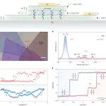 研究前沿：龚成课题组，多铁隧道结-二维铁电 | Nature Nanotechnology
