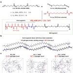 香港中文大学（深圳）朱贺 AFM：耐极端温度、湿度和溶剂侵蚀的高机械性能聚氨酯脲弹性体