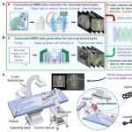 别让医生再“吃射线”：Nature子刊展示医疗器械“自动驾驶”视觉，看穿脊柱遮挡