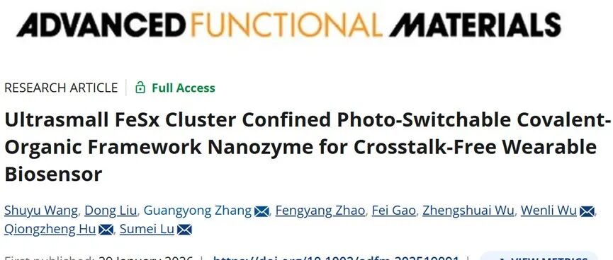 Adv. Funct. Mater. | 超小FeS\u2093团簇限域共价有机框架纳米酶，用于无串扰可穿戴生物传感器