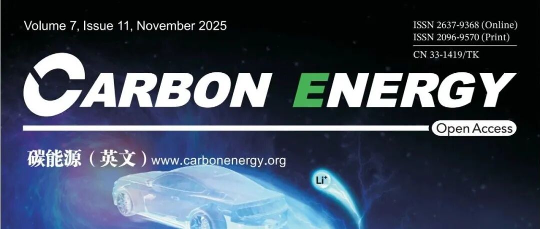 田逢雨&张洪雷&韩宁Carbon Energy:不对称配位铟单原子用于高选择性光CO2还原