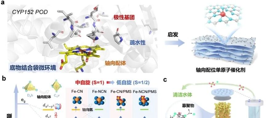 哈工大王爱杰教授团队李智灵教授课题组在水污染控制与资源循环领域取得重要进展