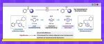 【J. Org. Chem.】三峡大学周海峰/刘森生团队:铑催化不对称氢转移策略构建手性芳基-立方烷醇