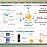【Angew. Chem.】北京理工大学杨国昱/姚燎原团队:金纳米团簇的多重发光调控策略诱导热激活延迟荧光
