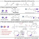 河工大刘宾元教授 Macromolecules：环酸酐栓接有机硼路易斯酸碱对 - 打造耐稀释的高效有机硼催化剂用于CO\u2082和环氧丙烷共聚