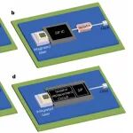 研究前沿：光子芯片-无隔离器激光器 | Nature Photonics