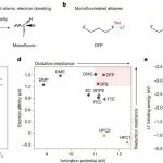 马年首篇Nature，南开大学最新成果