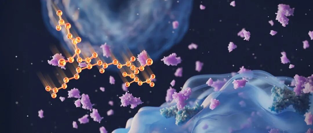 Science子刊封面 | 终结自身免疫病治疗困局？孙瑶/刘智多/张健团队开发精准Treg调节肽，有望优化IL-2疗法