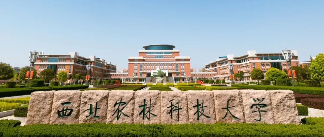 西北农林科技大学博士研究生以第一作者身份在一区Top期刊上发表研究论文