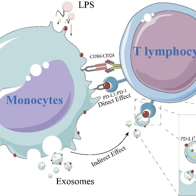 Cell Commun Signal |\u00A0广东省人民医院急诊江稳强团队：细胞外囊泡PD-L1诱导CD4+T细胞功能障碍致脓毒症免疫抑制