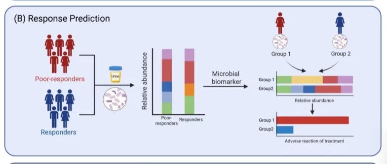 iMetaOmics | 南方医院吴芃组-解析膀胱癌中微生物-尿路上皮互作与临床转化