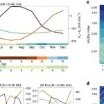 【Nature Ecology & Evolution】城环学院张尧课题组揭示植被对过去降水依赖的新规律